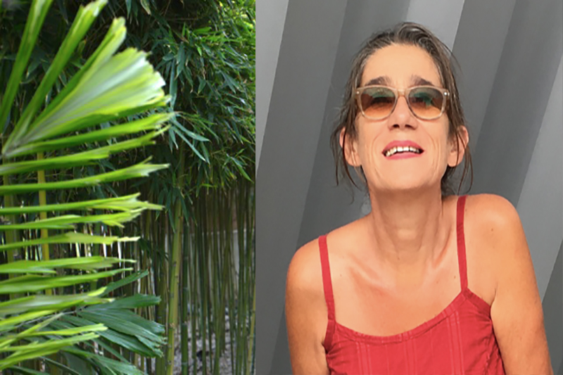 Kit Kurly claustra courbe sylvie Sauzet